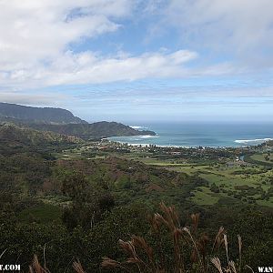 View of Hanalei Bay - Hanalei Okolehao Trail