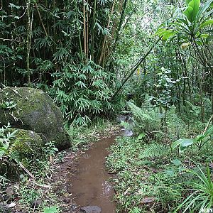 Lots of Mud - Hanakapi`ai Falls Trail