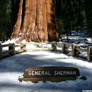 General Sherman