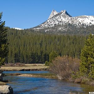 Cathedral Peak From Tuolumne Meadows