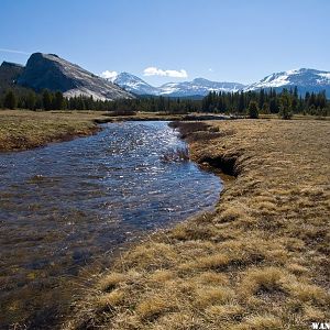 Tuolumne Meadows