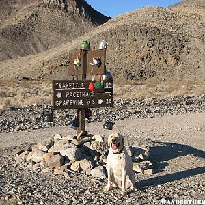 Teakettle Junction (Enroute to the Racetrack)