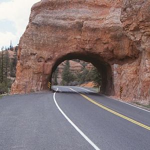 My First Trip To Zion