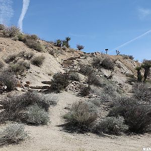 Lost Palms Oasis Trail