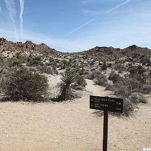 Lost Palms Oasis Trail