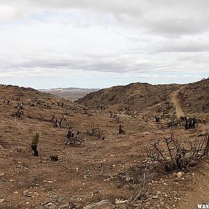 Lost Horse Mine Trail