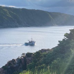 The fishing boats head out to sea each evening