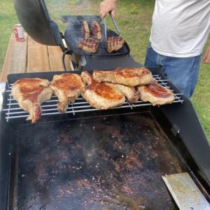 We had visitors for supper !
Pork chops on the griddle, rib eyes on the Weber.