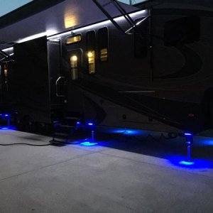 3990 Black Label LEDs