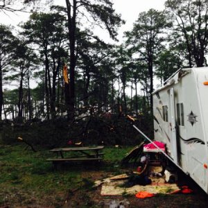 The tree in the background landed where a camper was parked just the night before.