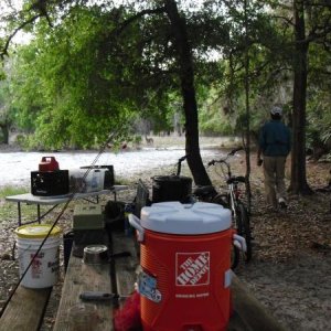 Deer right behind our Camper!! First camp out in a Florida State Park.