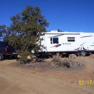 Pinyon Pines.