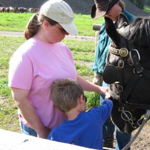 cowboy cookout