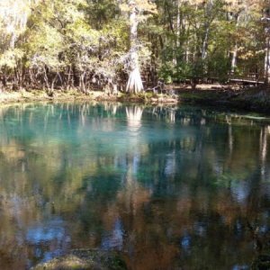 Manatee Springs