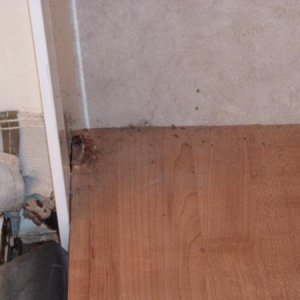 Rear Shelf 1: Remove screws and moulding.  This is view of roadside side of shelf.  Photo taken from rear bed.  Again, water damage in corners, etc.