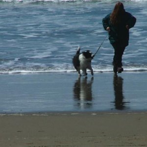 Winter beach