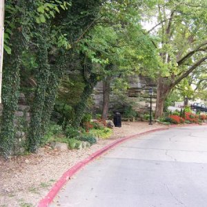 Beautiful landscaping near a roadside spring