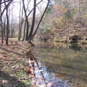 Trail follows the stream