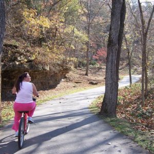 Bike paths have gentle rises, not too bad.