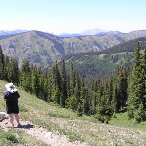 West Elk Wilderness at end of Rainbow Lake Road near Gunnison, Colorado