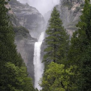 Lower Yosemite Falls Yosemite NP California