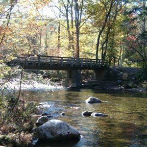 Smoky mountain creek & bridge