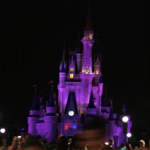 Disney World Castle at night.