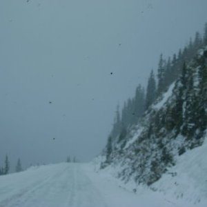 Weather mis-judged, Monarch Pass, Hwy 50