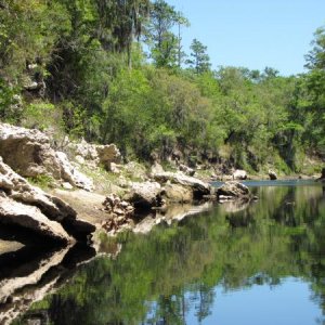 The Suwannee River at low water.