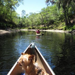 Paddling down the Suwannee River.