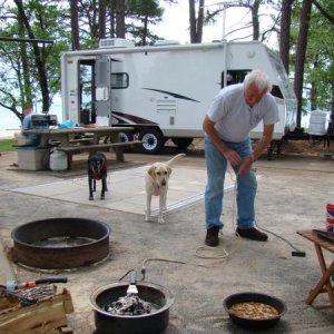 Camp site 71 at Old Federal campground on Lake Lanier Flowery Branch, Ga, early May 2011