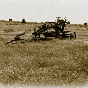 From days gone by - a horse drawn road grader along the road to Toroweap