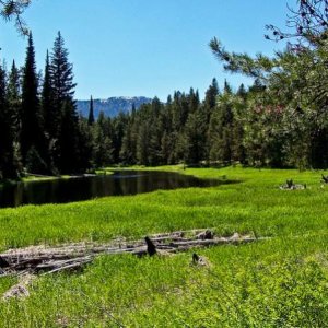 Cascade Lake ID