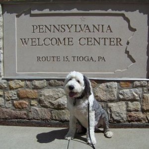 Bentley at the rest area