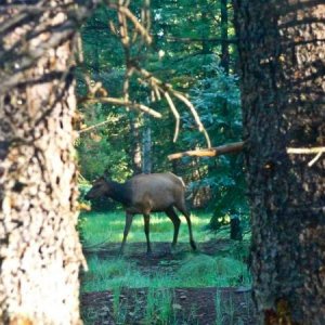 July 2010 - A few of the neighbors stop by to welcome us.