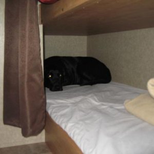 Zoey sleeping in the bottom bunk=]