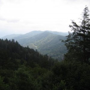 Border of NC and TN in the Smoky's