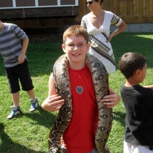 my brave son with a boa constrictor at reptile day