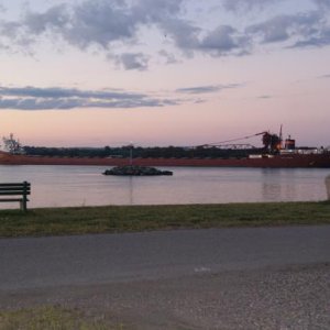 A GREAT LAKES FREIGHTER AS SEEN FROM OUR CAMPSITE ON THE ST. MARY'S RIVER HEADED TO SOO LOCKS.