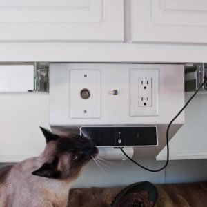 Simon, our tear drop modification inspector, is giving his approval to my addition of speakers, computer shelves under cabinets and coaxial cable out,