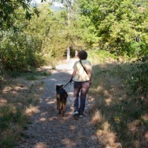 We took our Australian Shepherd (Bear) with us for his second camping trip. Linda and Bear are taking a walk along the Rogue River in the Valley of th