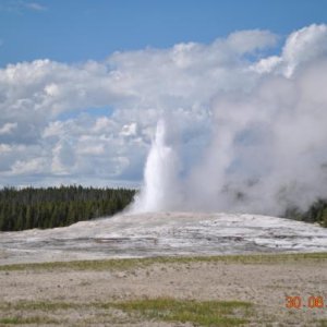 Old faithful