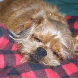 After a day of hiking & canoeing at Ludington SP (2011).