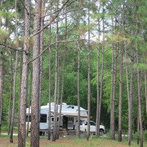 In the Pines at Wekiwa Springs SP