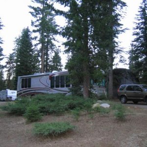 Sequoia NP