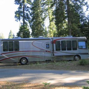 Sequoia NP