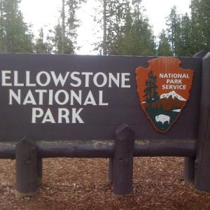 Yellowstone National Park.