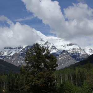 mt robson