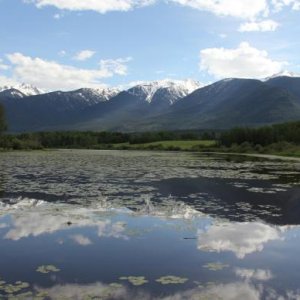 horseshoe lake McBride3