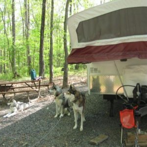 Camping at Bull Run Campground, Manassas, VA